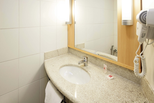 Hotel ibis Belo Horizonte Savassi